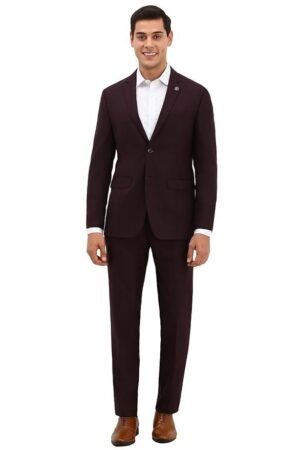 Allen Solly Men Maroon Slim Fit Check Formal Two Piece Suit
